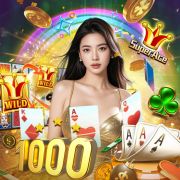 netbetbr