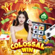 6292bet